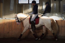 Portugal-Lisbon Area-Lusitano Riding Centre Alcainca Program A